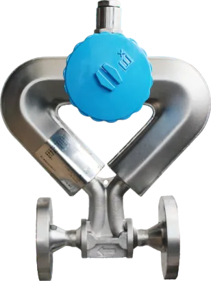 CG-06 — CG-06 Coriolis Mass Flow Meter