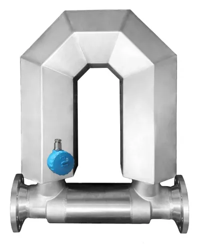 CG-100 — CG-100 Coriolis Mass Flow Meter